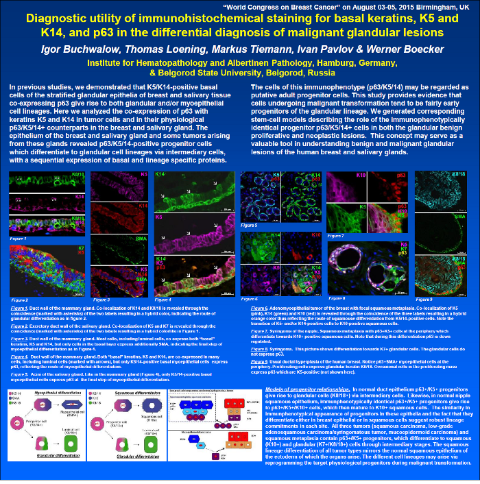 Mammapathologie-Poster